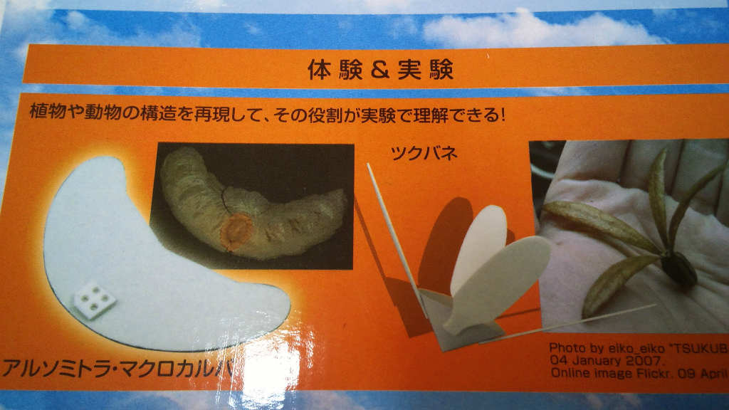 新着情報個別表示ページ